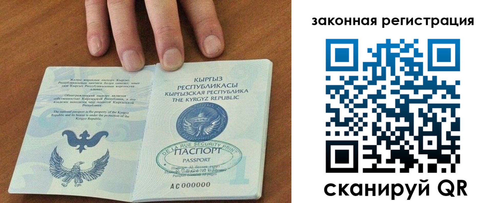 прописка гарантия в Сольцах