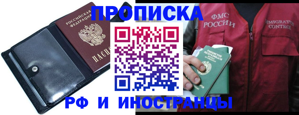 прописка штамп в Сольцах